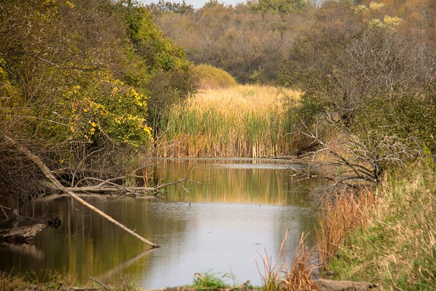 East Branch DuPage River