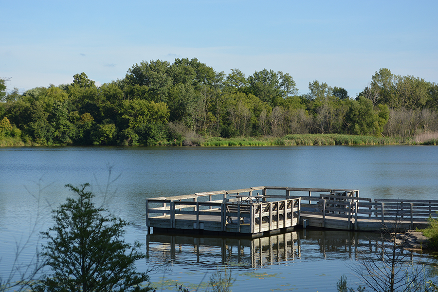 fishing pier on lake at Pratt's Wayne Woods