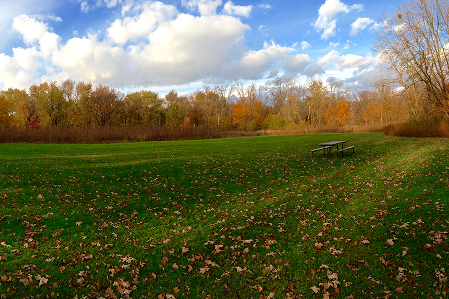 Salt-Creek-Park-fall-picnic-grove-900x600