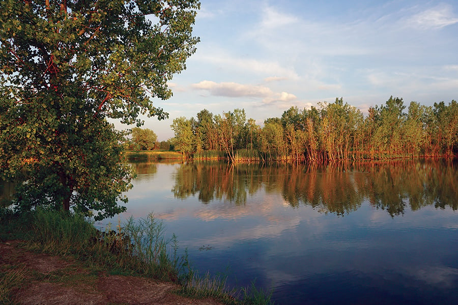 Songbird-Slough-summer-900x600