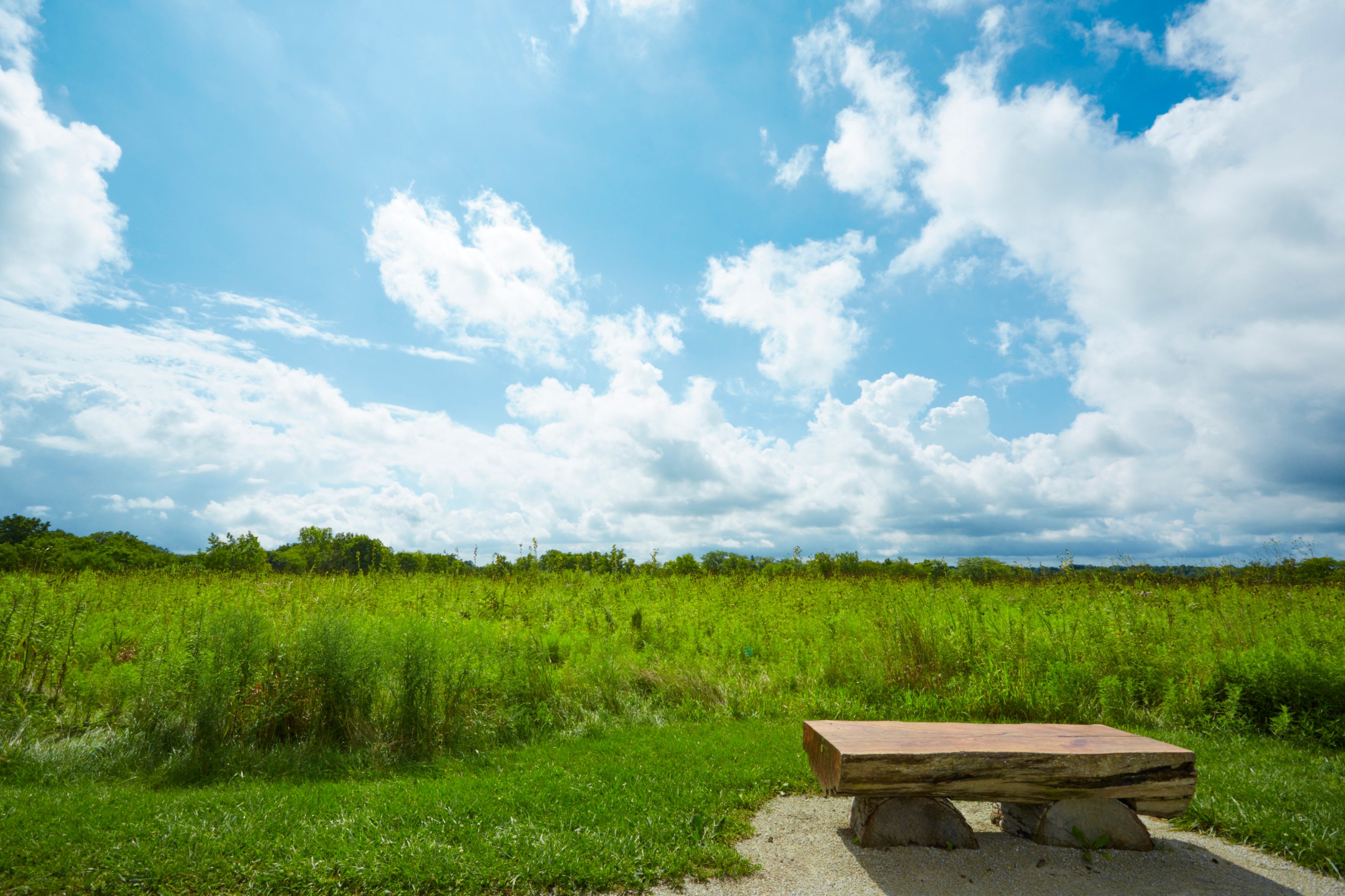 Springbrook-Prairie-bench-900x600