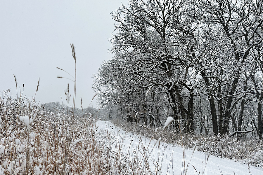 St-James-Farm-winter-900x600