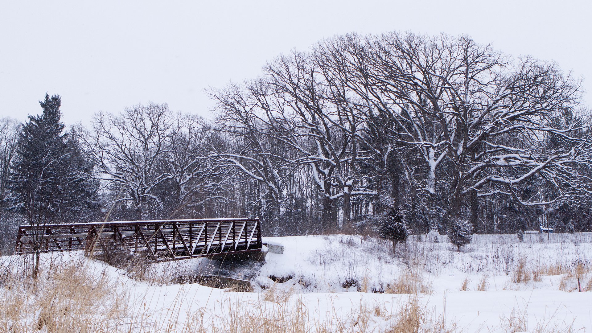 Winter - Prairie West