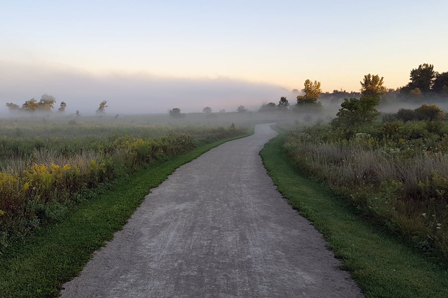 foggy trail at West Branch
