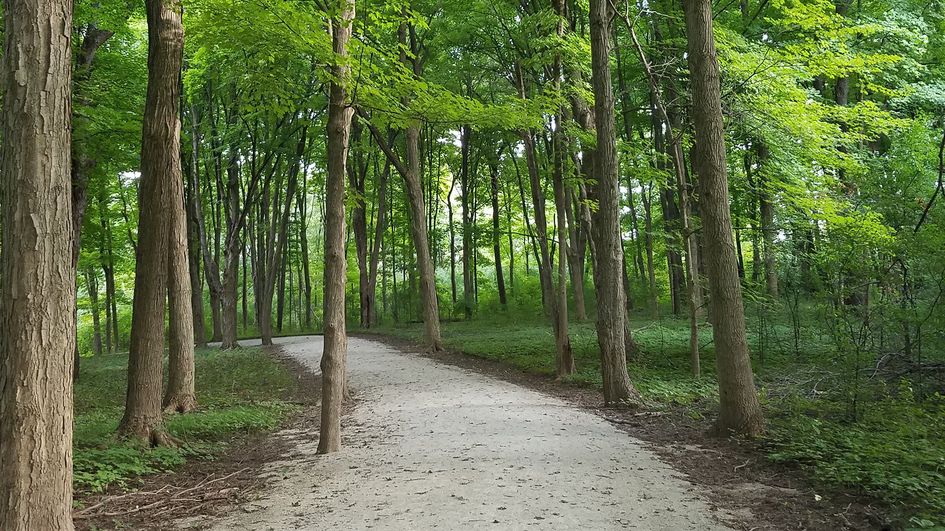 west-dupage-woods-1920x1080