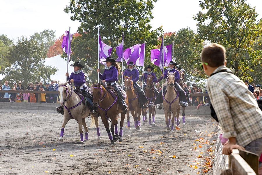 fall-festival-2024-900x600x150