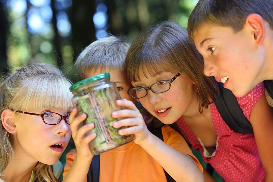 at-forest-preserve-iStock-900x600