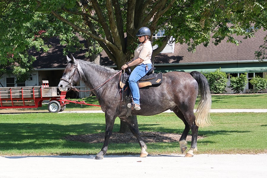 a woman on horseback on a trail a woman on horseback on a trail