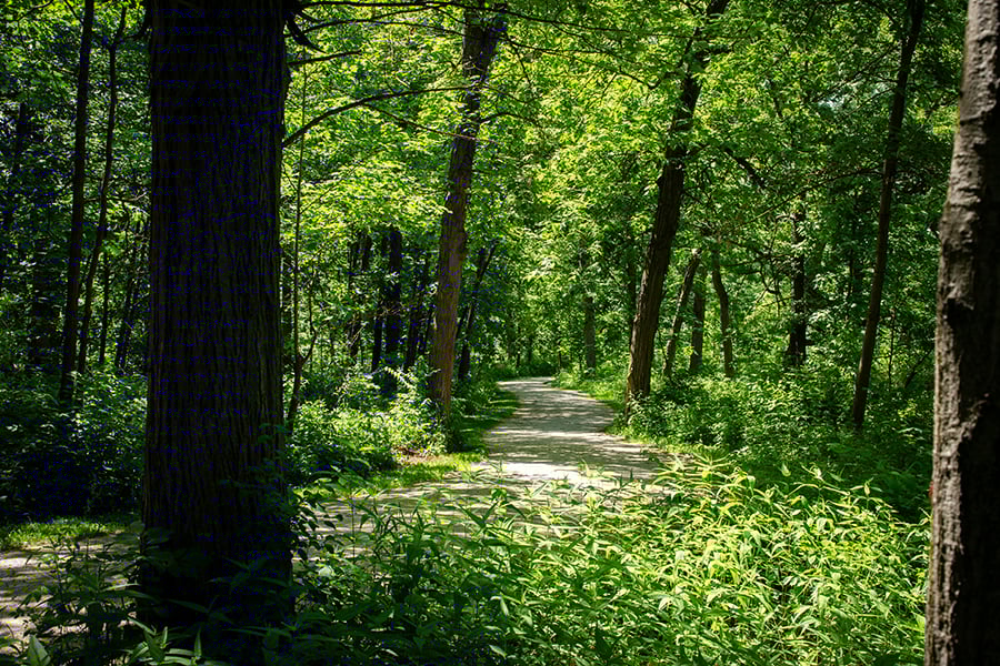 Greene-Valley-trail-900x600