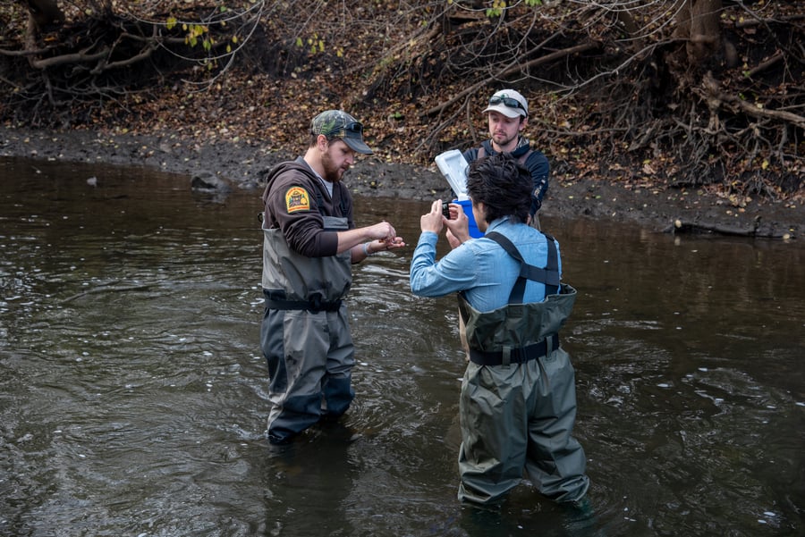 A man in waders films two others as they collect mussels from a river.