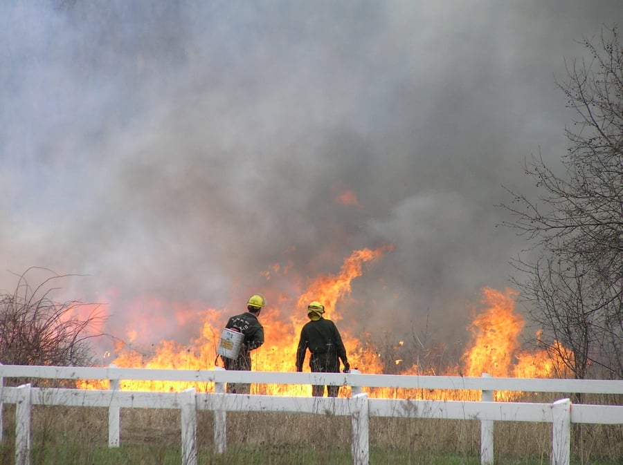 Two men observe a prescribed burn with flames reaching above head high.