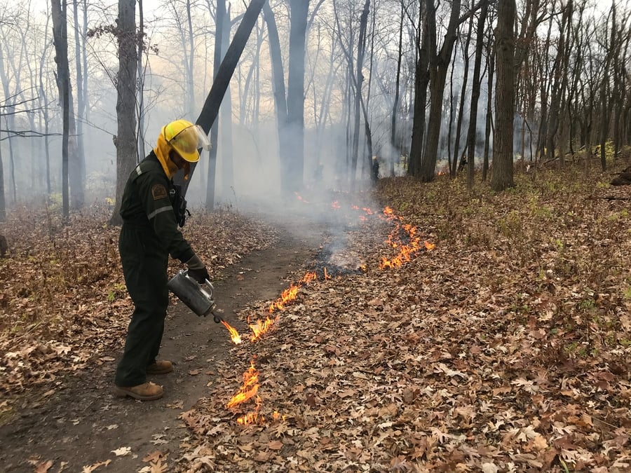 A man in coveralls and a helmet ignites a pile of leaves in a forest.