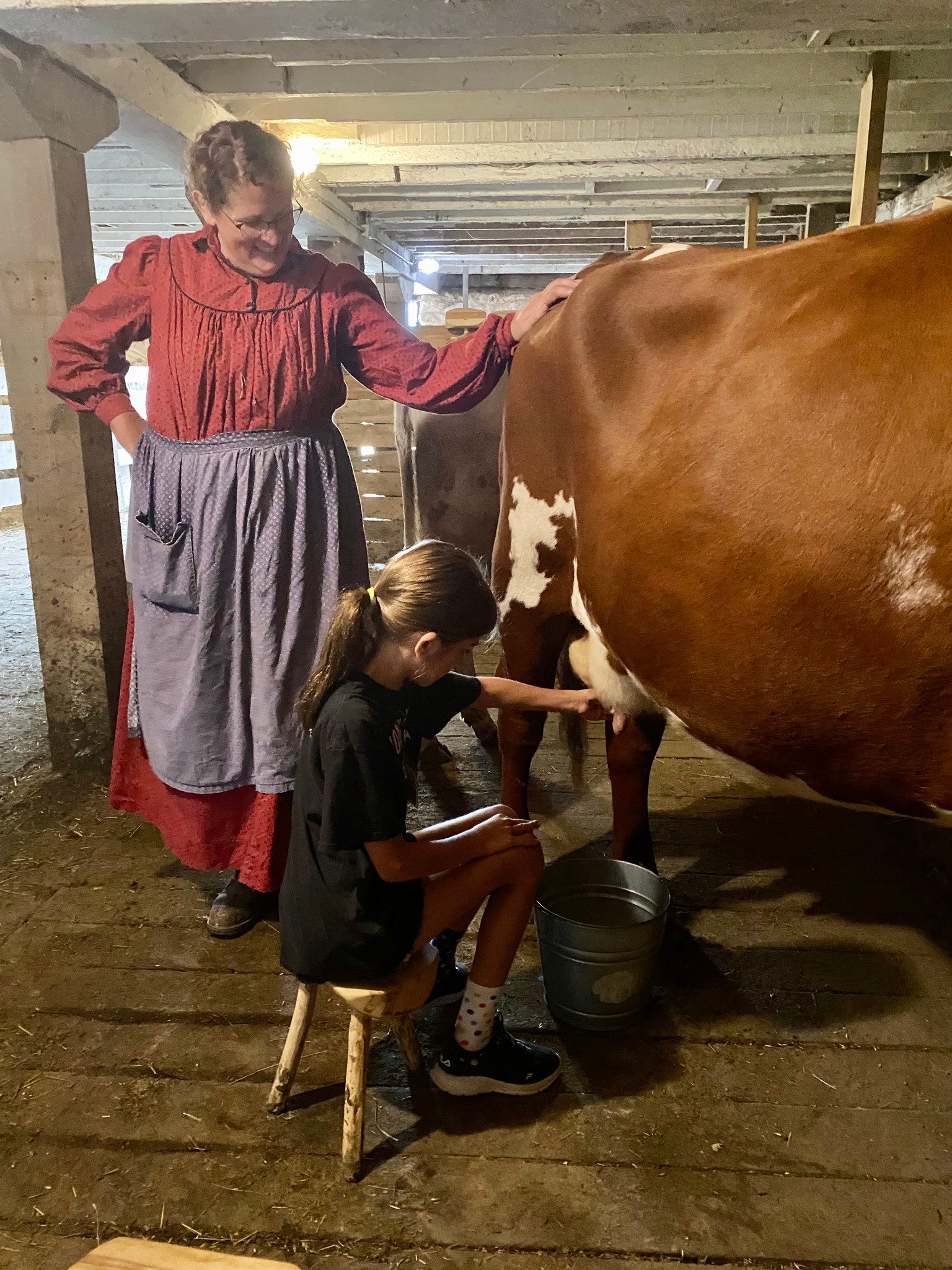A girl milks a cow under staff supervision.
