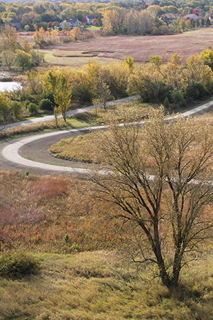 view of the new trail at Pratt's Wayne Woods
