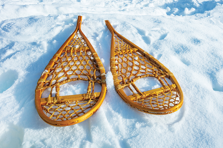 a pair of Huron snowshoes in the snow