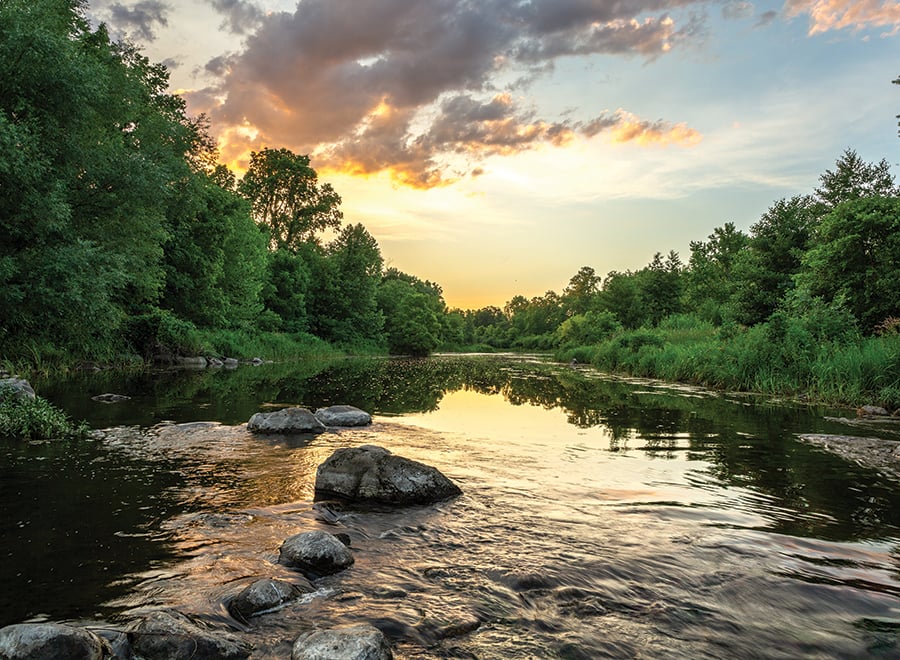 riffles-west-branch-dupage-river