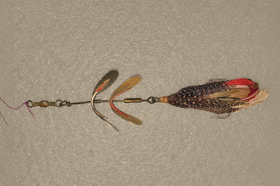 spinner-bait