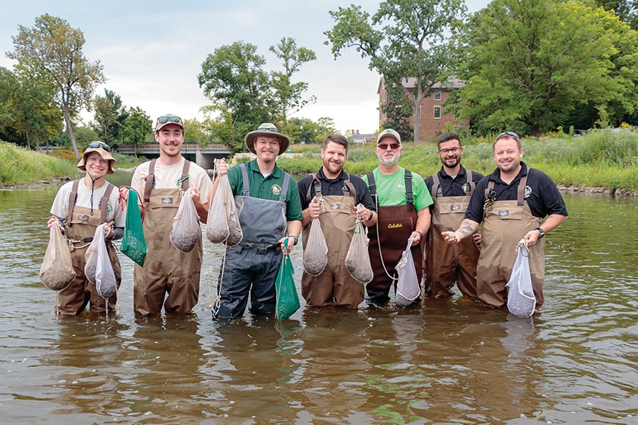 F group in waders