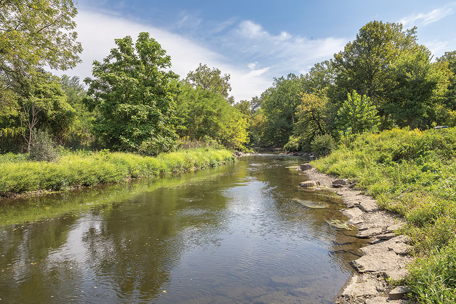 F river