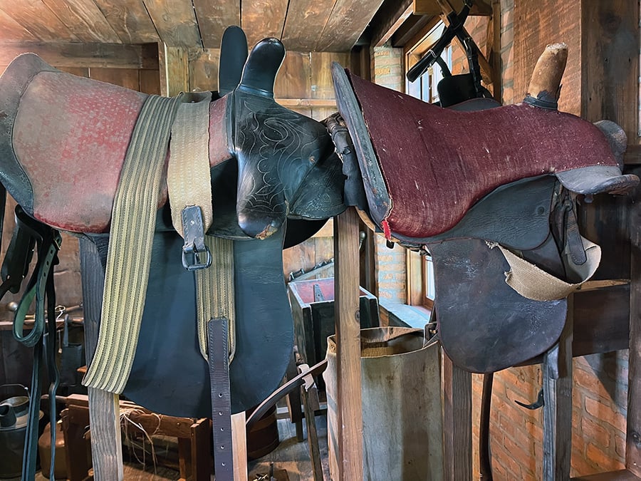 F sidesaddle