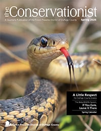 The spring 2026 cover of The Conservationist features a snake with its tongue hanging out of its mouth.