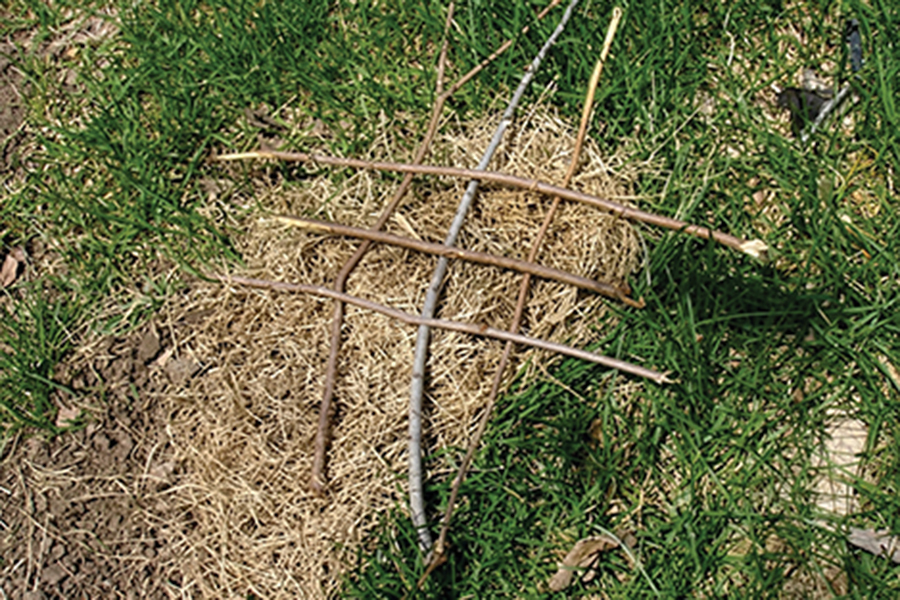 Sticks are placed in a checkerboard pattern on top of a grass nest.