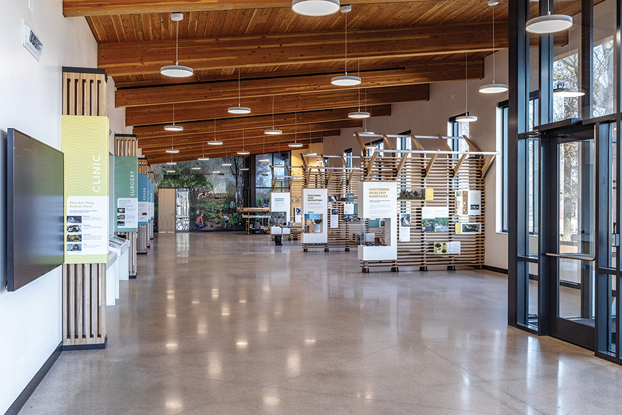 The visitor center features a wall with a mural and several exhibits about local wildlife.