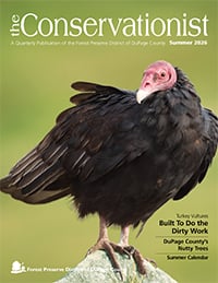 The cover of the Summer 2026 Conservationist features a turkey vulture.