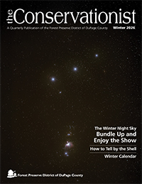 The cover of the Winter 2026 Conservationist magazine features a starlit night sky.