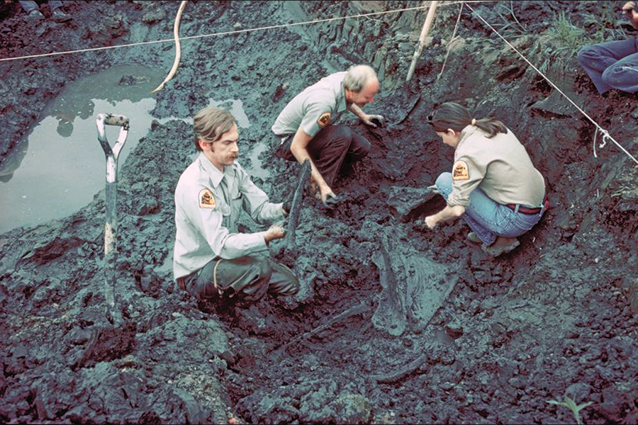 Three men dig for bones in a muddy pit.