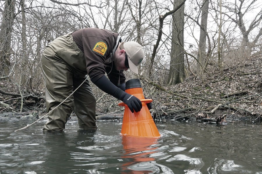 A man in waders uses a cone-like device to search for mussels in a stream.