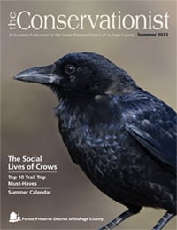 Conservationist-Summer-Cover