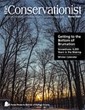 Conservationist-Winter-Cover