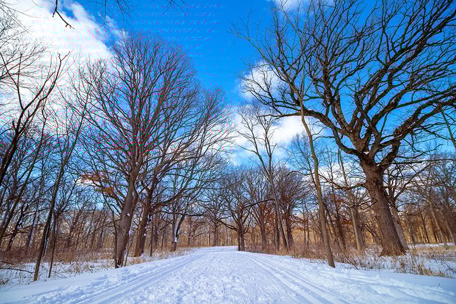 winter-trail-900x600