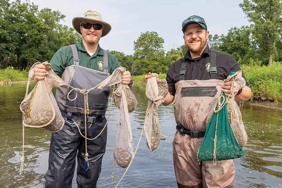 two men standing in a creek holding bags of small mussels getting ready to release them into the creek