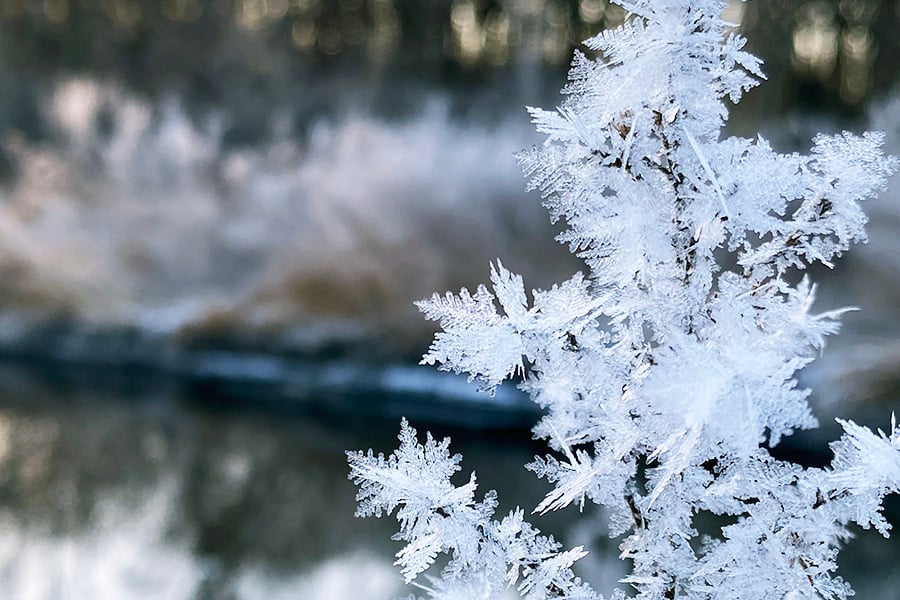 hoarfrost-900x600