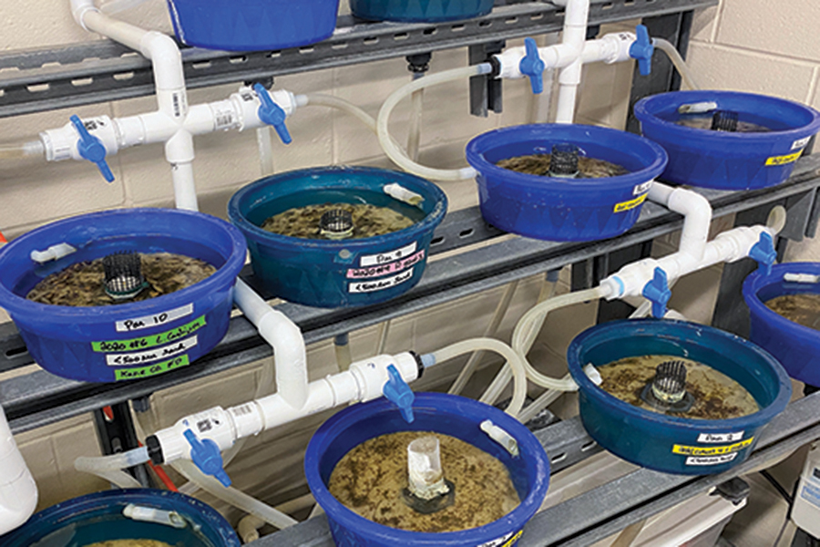 pans filled with water inside the Urban Stream Research Center