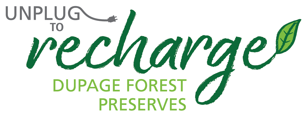 Unplug to Recharge logo