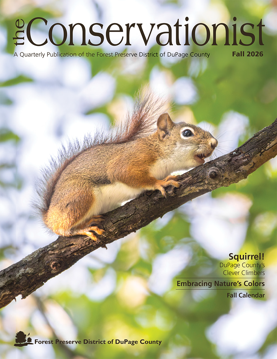 F cover Conservationist-Fall-2026-1