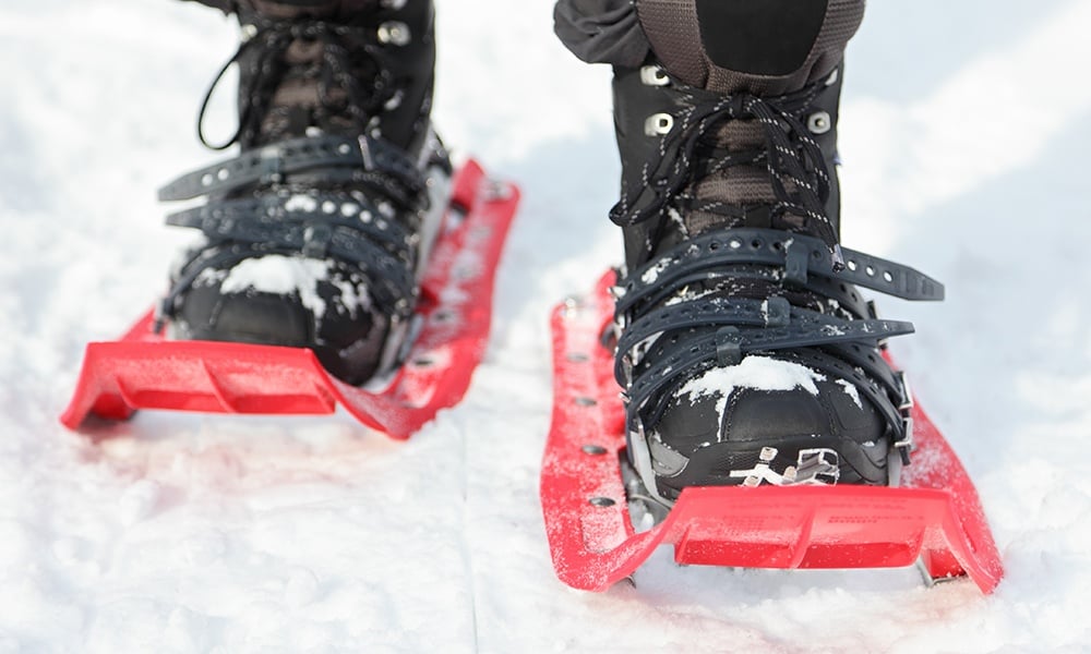 Download News Conservationist Winter 2018 Snowshoe Shuffle