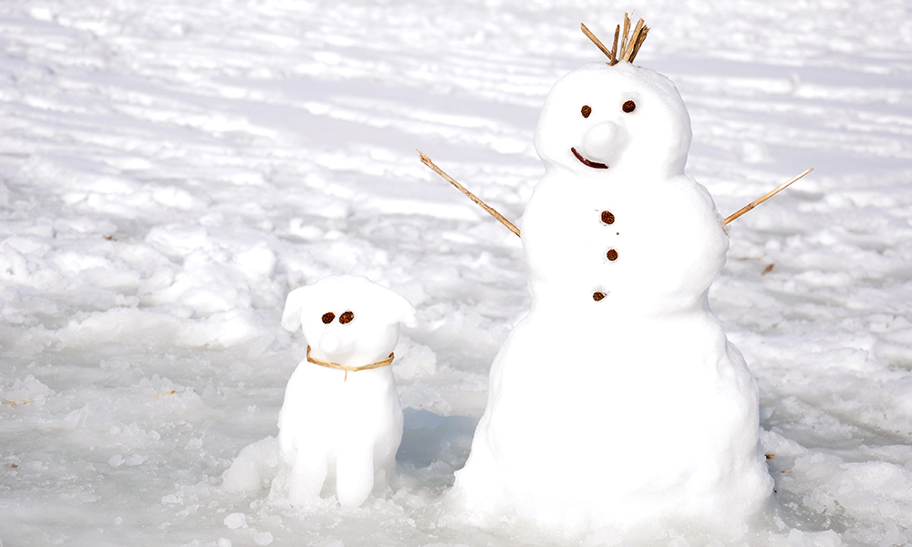 Image result for Winter