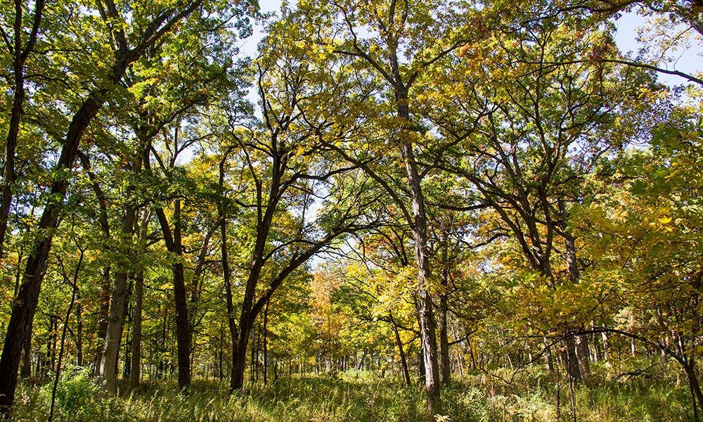 Greene-Valley-fall-1000x600