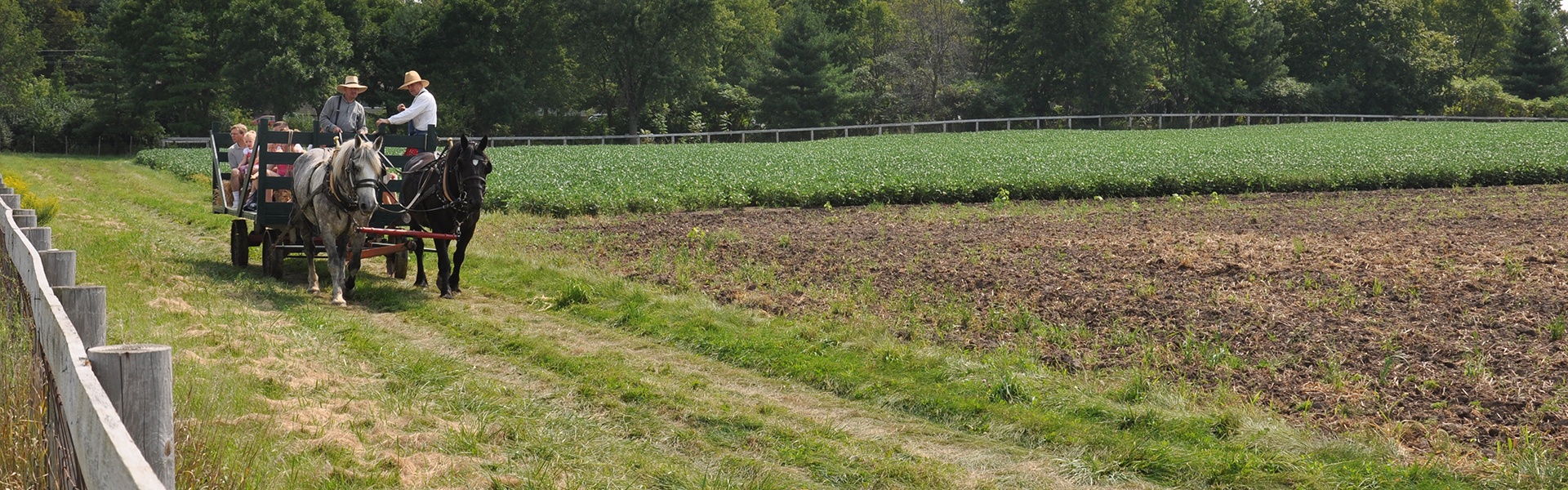 Get Involved Volunteer Kline Creek Farm