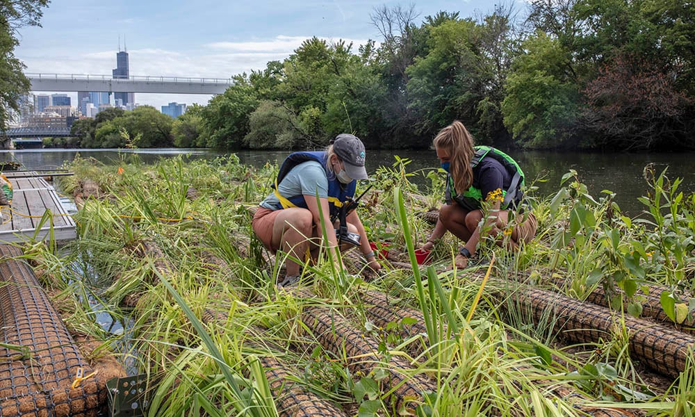 Two people work to erect a floating wetland with the Chicago skyline in the background.