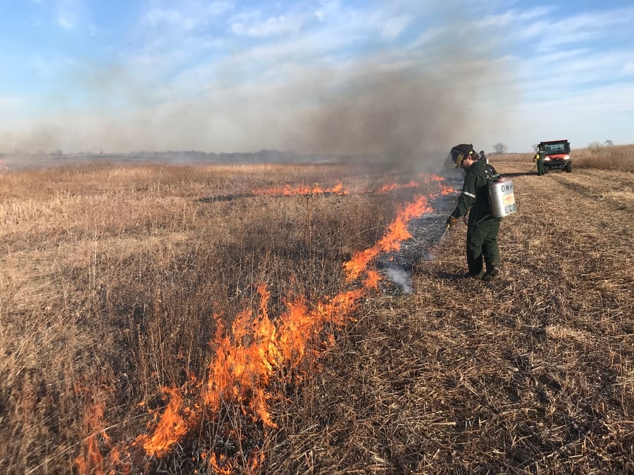 A man uses a drip torch to ignite a fire on the edge of a prairie.
