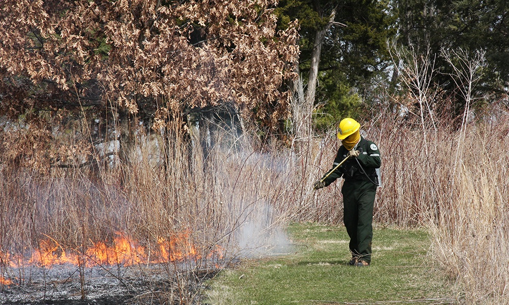 prescribed-burns-line-tender.jpg