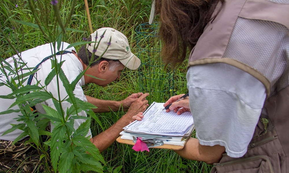 Scott-checking-seeds