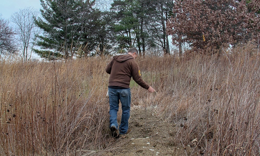 seed-distribution-IMG-6224-1