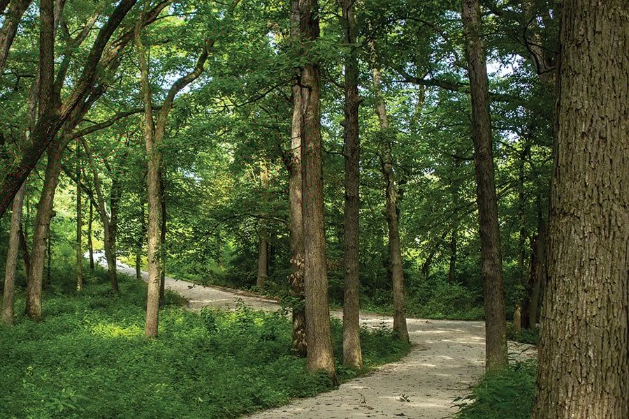 winding-trail-900x600